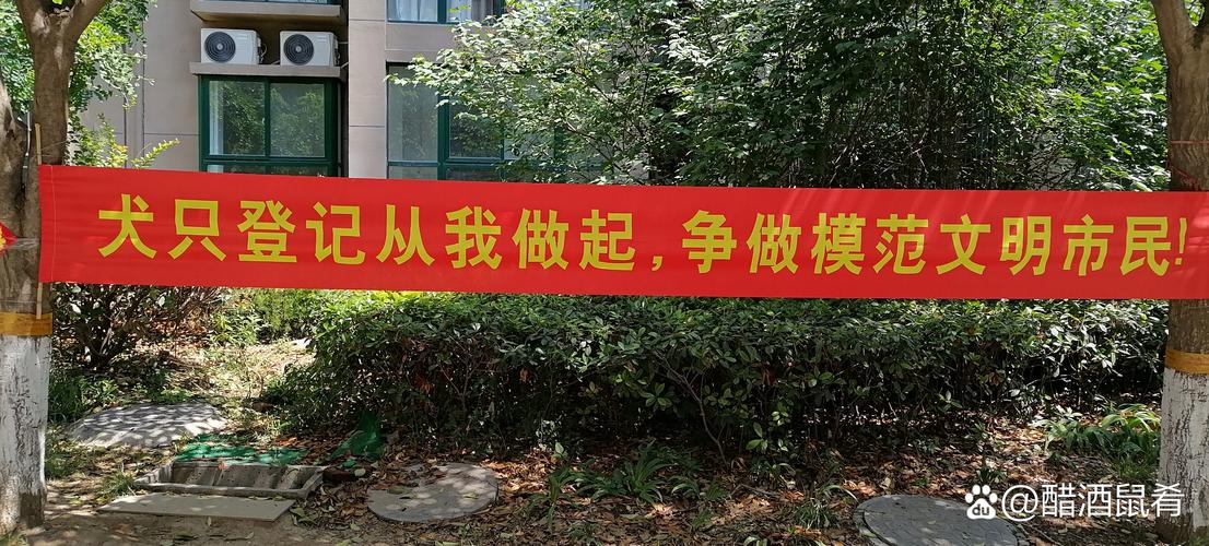中元环保工程